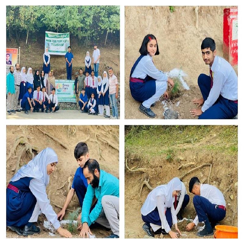 Plantation Drive 2025